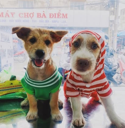 Cạo Tắm