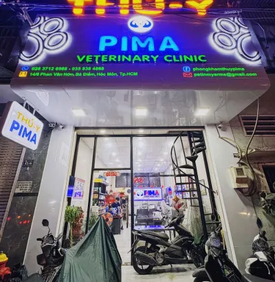  Dịch vụ thú y chuyên nghiệp PIMA – Chăm sóc thú cưng toàn diện