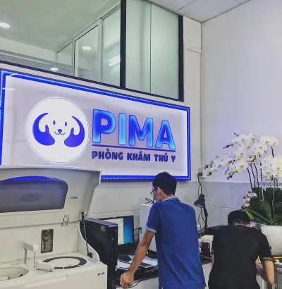 Phòng khám thú y Hóc Môn gần tôi – PIMA Pet In My Arms: Chăm sóc thú cưng toàn diện, uy tín
