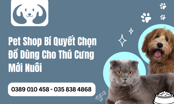 Pet Shop Bí Quyết Chọn Đồ Dùng Cho Thú Cưng Mới Nuôi