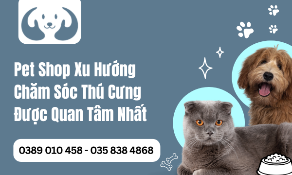 Pet Shop Xu Hướng Chăm Sóc Thú Cưng Được Quan Tâm Nhất