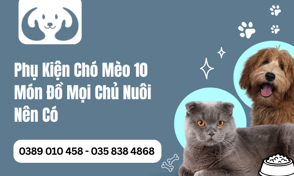 Phụ Kiện Chó Mèo 10 Món Đồ Mọi Chủ Nuôi Nên Có