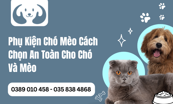 Phụ Kiện Chó Mèo Cách Chọn An Toàn Cho Chó Và Mèo