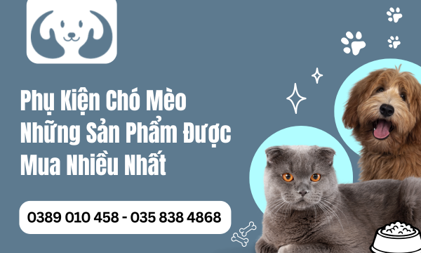 Phụ Kiện Chó Mèo Những Sản Phẩm Được Mua Nhiều Nhất