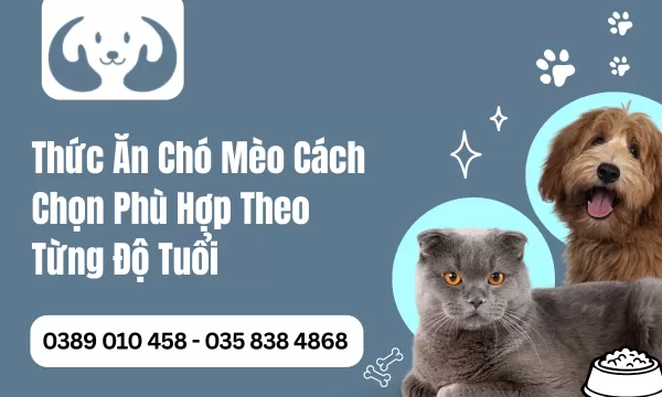 Thức Ăn Chó Mèo Cách Chọn Phù Hợp Theo Từng Độ Tuổi