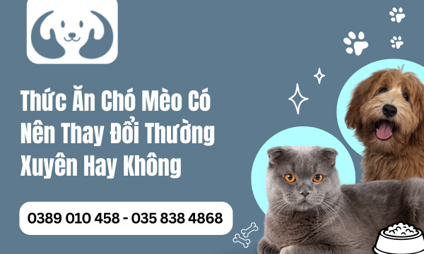 Thức Ăn Chó Mèo Có Nên Thay Đổi Thường Xuyên Hay Không