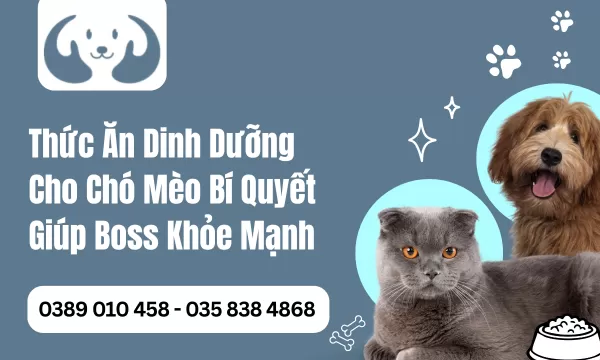 Thức Ăn Dinh Dưỡng Cho Chó Mèo Bí Quyết Giúp Boss Khỏe Mạnh