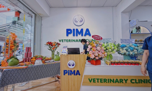 Con Đi Spa, Không Lo Về Giá
