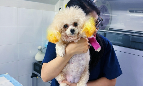 Phẫu thuật