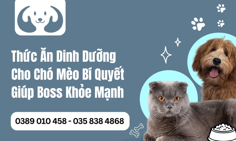 Thức Ăn Dinh Dưỡng Cho Chó Mèo Bí Quyết Giúp Boss Khỏe Mạnh