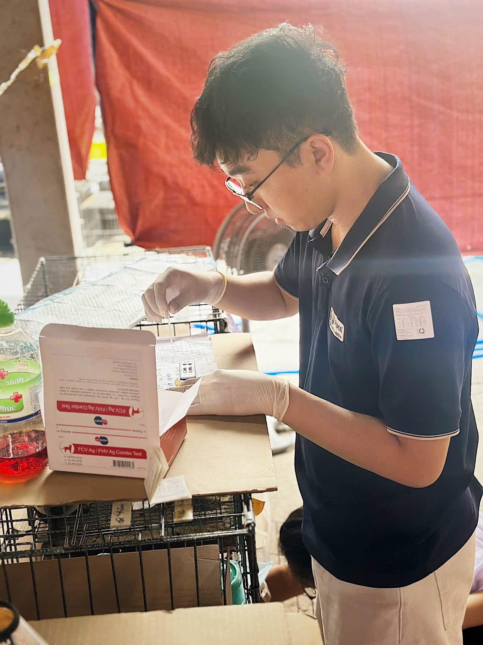 Bác sĩ thú y giúp lựa chọn thuốc phù hợp như thế nào?