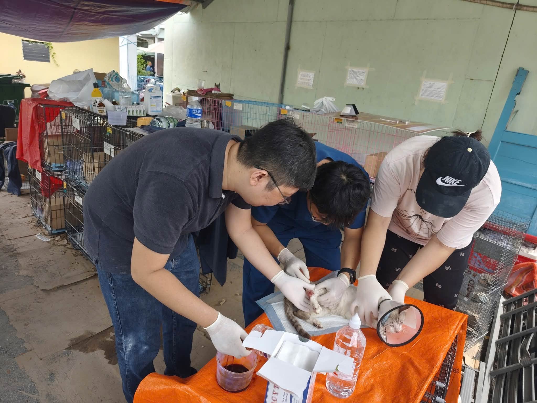 PIMA Đồng Hành Cùng Sức Khỏe Và Dinh Dưỡng Của Thú Cưng