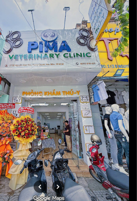 PIMA Đồng Hành Cùng Bạn Trong Hành Trình Chăm Sóc Thú Cưng