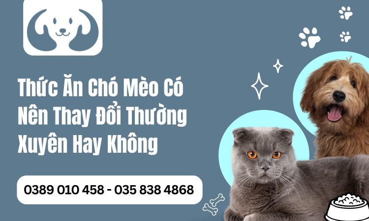 Thức Ăn Chó Mèo Có Nên Thay Đổi Thường Xuyên Hay Không