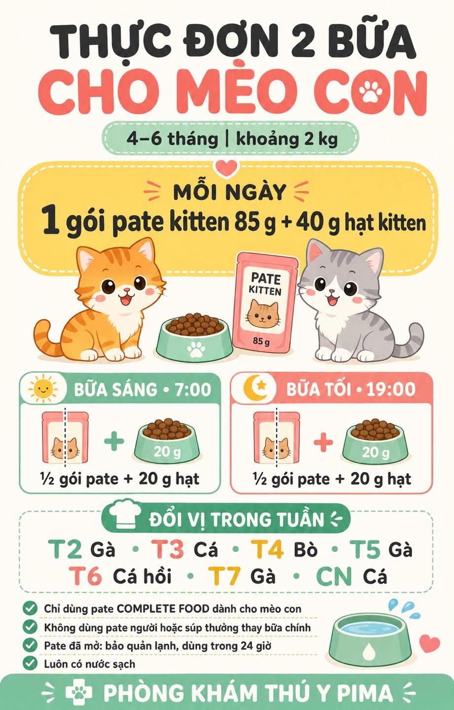 Thực đơn 2 bữa cho chó mèo con Ưu tiên phát triển toàn diện