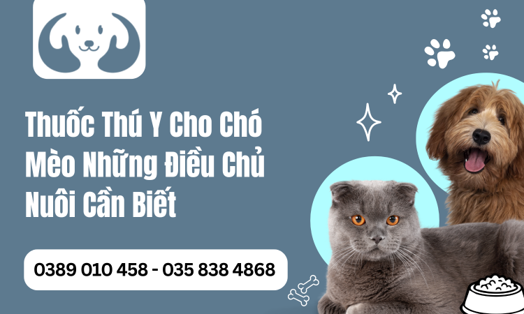 Thuốc Thú Y Cho Chó Mèo Những Điều Chủ Nuôi Cần Biết