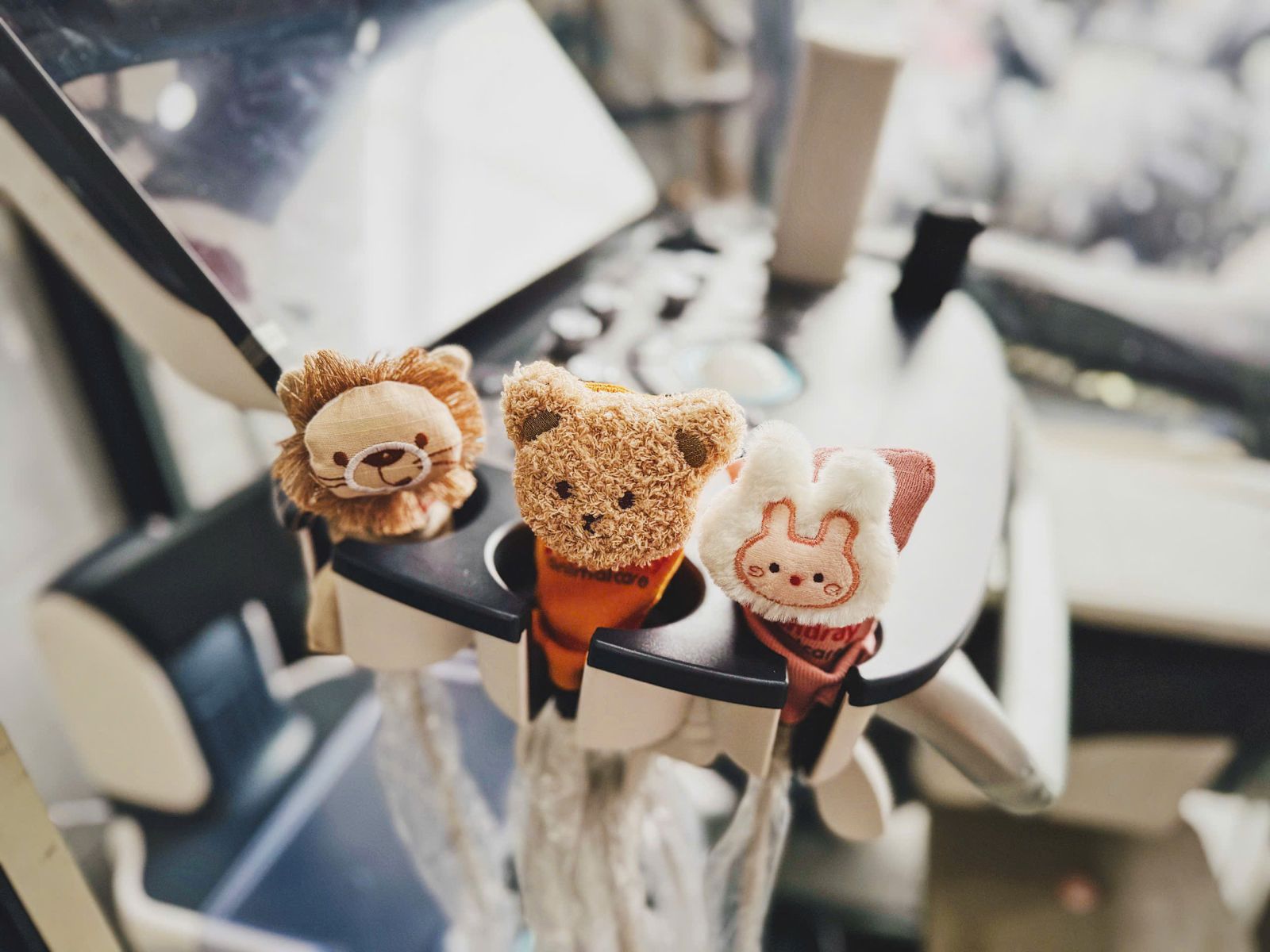 Tắm Rửa Định Kỳ Cho Boss